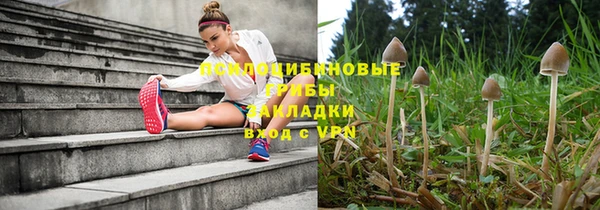 гашик Баксан