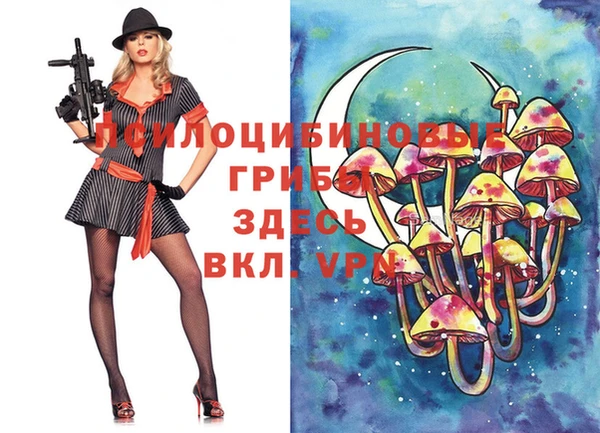 гашик Баксан