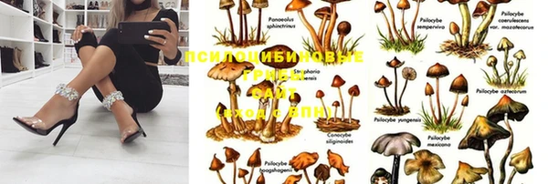 меф Балахна