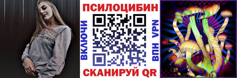 Купить закладки  Партизанск  Псилоцибиновые грибы прущие грибы 